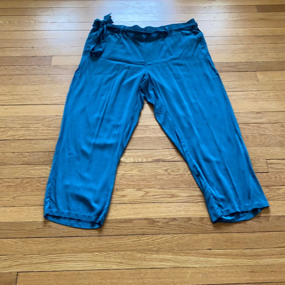 Teal colored Old Navy Bermuda Pants 2X